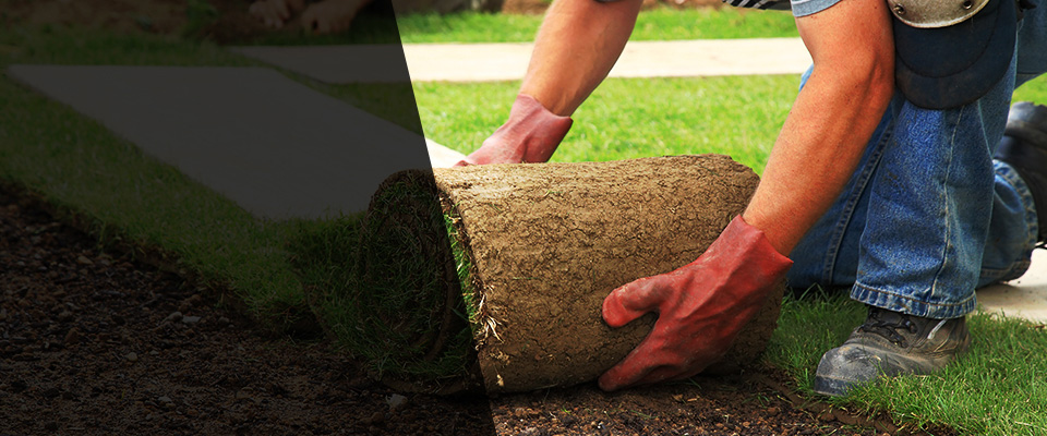 Ravenna Landscapers